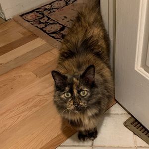 Meet your Posher, Kevin